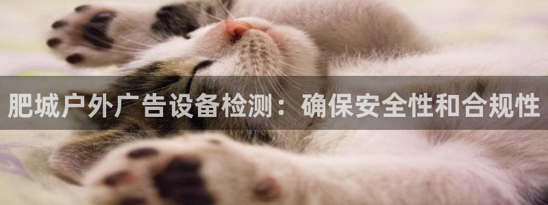 杏宇平台怎么样赚钱：肥城户外广告设备检测：确保安全性和合规性