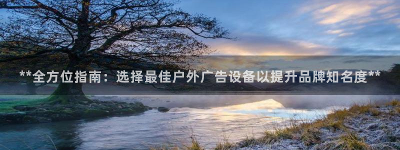 杏宇官方平台官网入口：**全方位指南：选择最佳户外广告设备以提升品牌知名度**