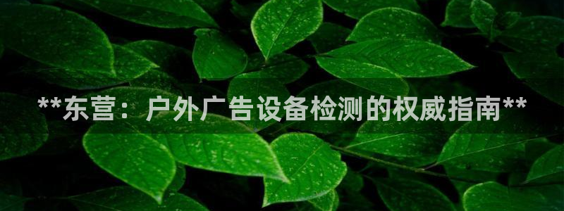 杏宇平台怎么样：**东营：户外广告设备检测的权威指南**