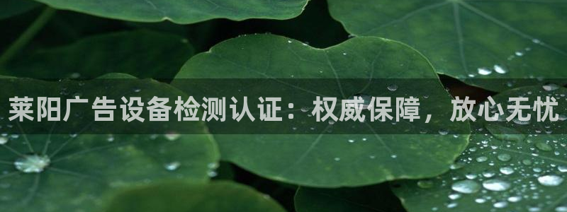 杏宇代理注册：莱阳广告设备检测认证：权威保障，放心无忧