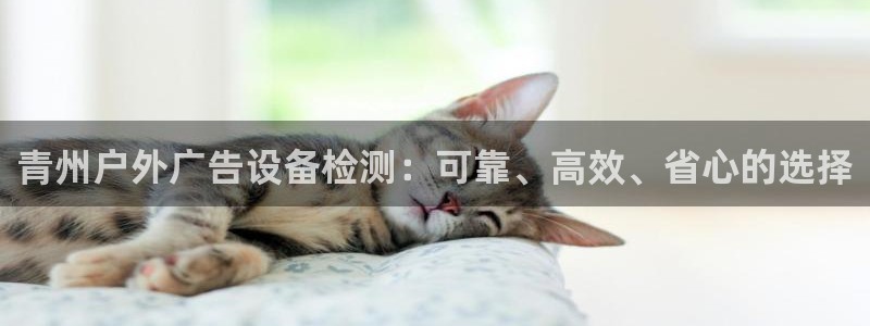 杏宇平台招商电话号码：青州户外广告设备检测：可靠、高效、省心的选择