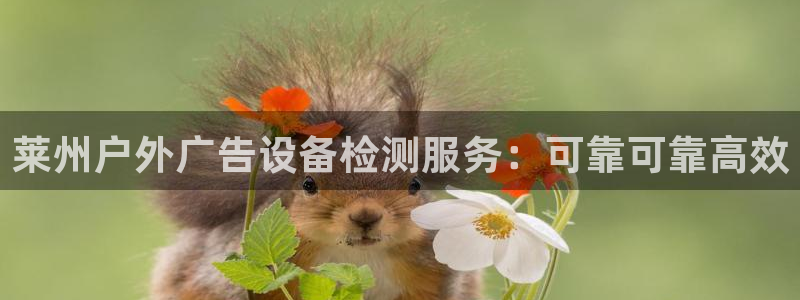 杏宇平台代理怎么赚钱