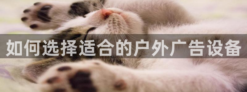 杏宇平台好吗：如何选择适合的户外广告设备