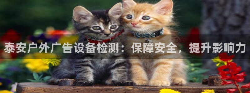杏宇平台招商：泰安户外广告设备检测：保障安全，提升影响力
