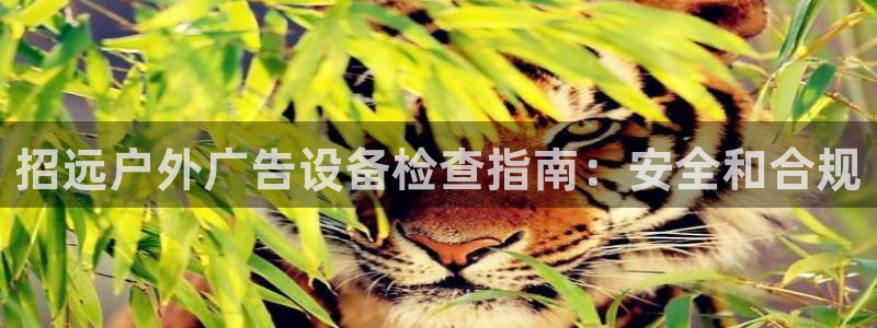 杏宇平台怎么样知乎：招远户外广告设备检查