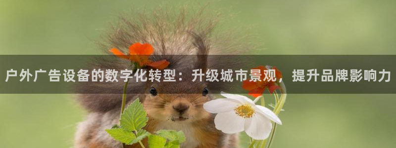杏宇平台总代理：户外广告设备的数字化转型：升级城市景观，提升品牌影响力